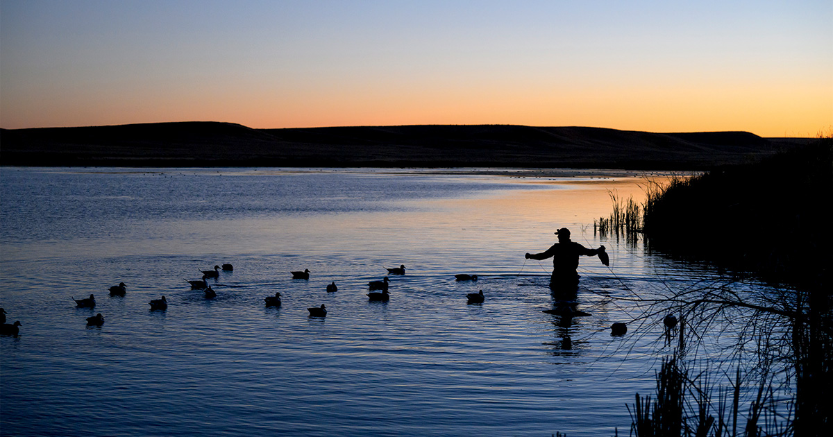 Hunting scene in a prairie pothole. Photo by Bill Buckley